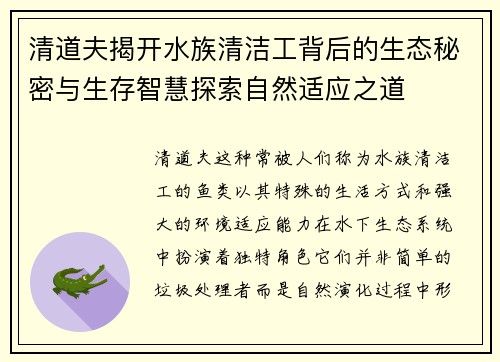 /news/512.html